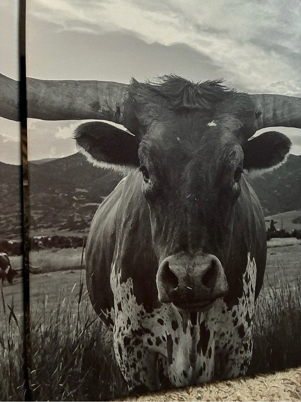 Black & White Longhorn Canvas Wall Art - Rustic Home Decor